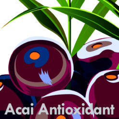 Acai Antioxidant Smoothie