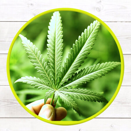 CBD