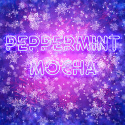 Peppermint Mocha Smoothie