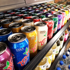 Zevia Soda Can - Cold